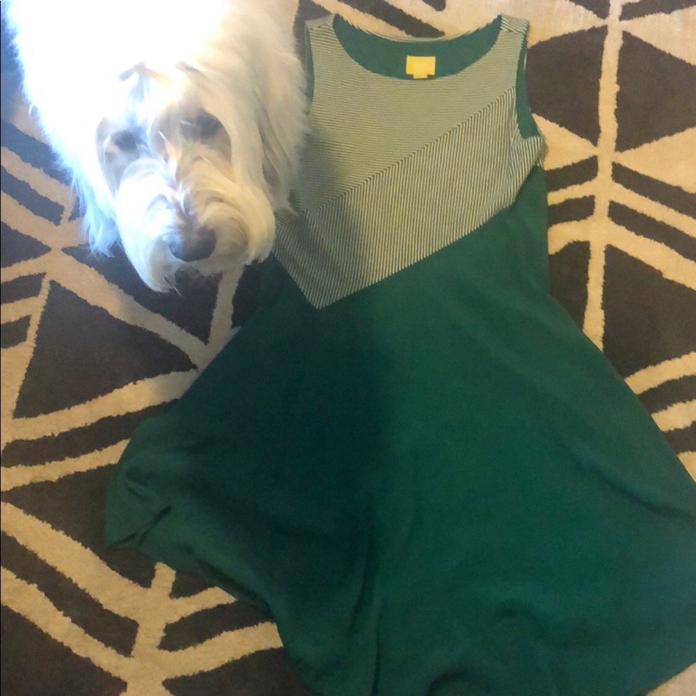 Maeve (Anthropology) Dress